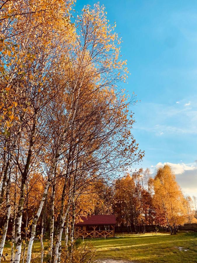 Rajskie Siedlisko Smykow Luaran gambar