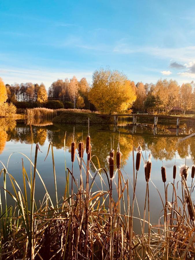 Rajskie Siedlisko Smykow Luaran gambar